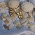 Butterfly Anti Tanish Earrings