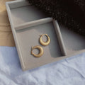 Classic Hoops Anti Tanish Earrings