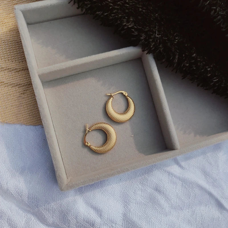 Classic Hoops Anti Tanish Earrings