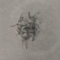 Ball Pin 10 Gram