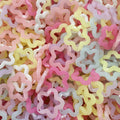 Paster Star Pack of 6