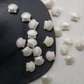 Big Shell 10 Gram