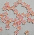 Peach Sakura Flower Per Piece
