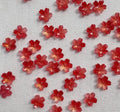 Red Glass premium Sakura Per Piece