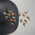 Golden Dolphin Anti Tarnish