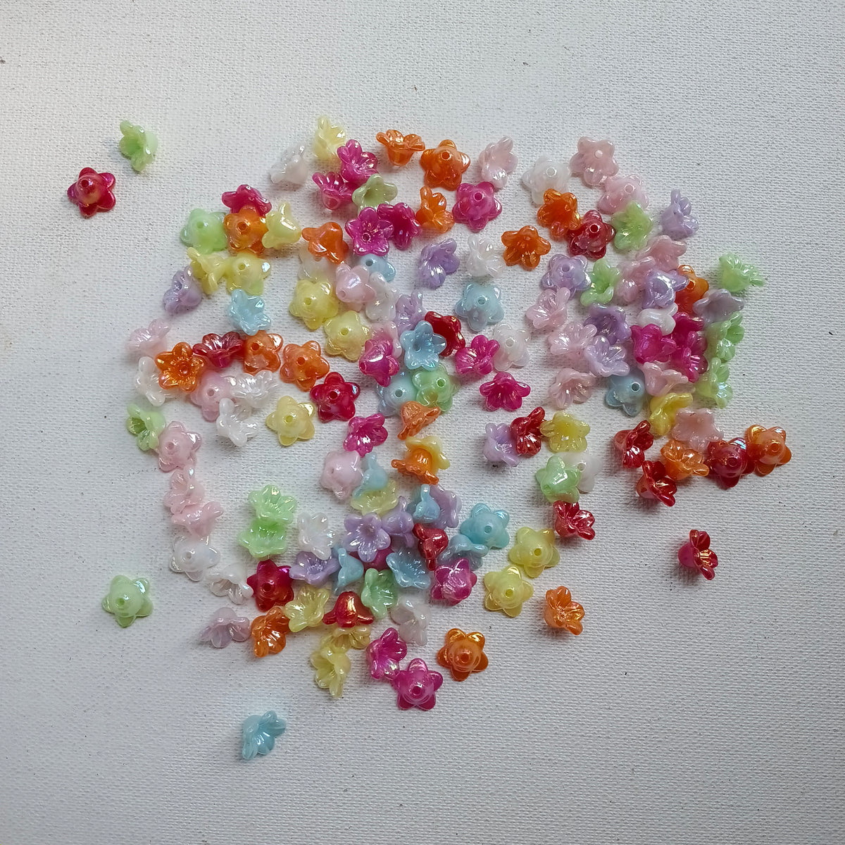 New lily caps 10 grm