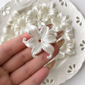 White spring flower pack of 5