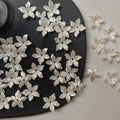White flower 10 grm