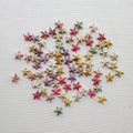 Realistic starfish 10 grm