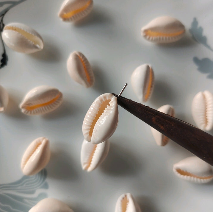 Cowri shell premium per piece