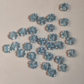 Blue Crystal clover