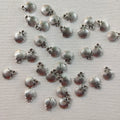 Silver shell per piece