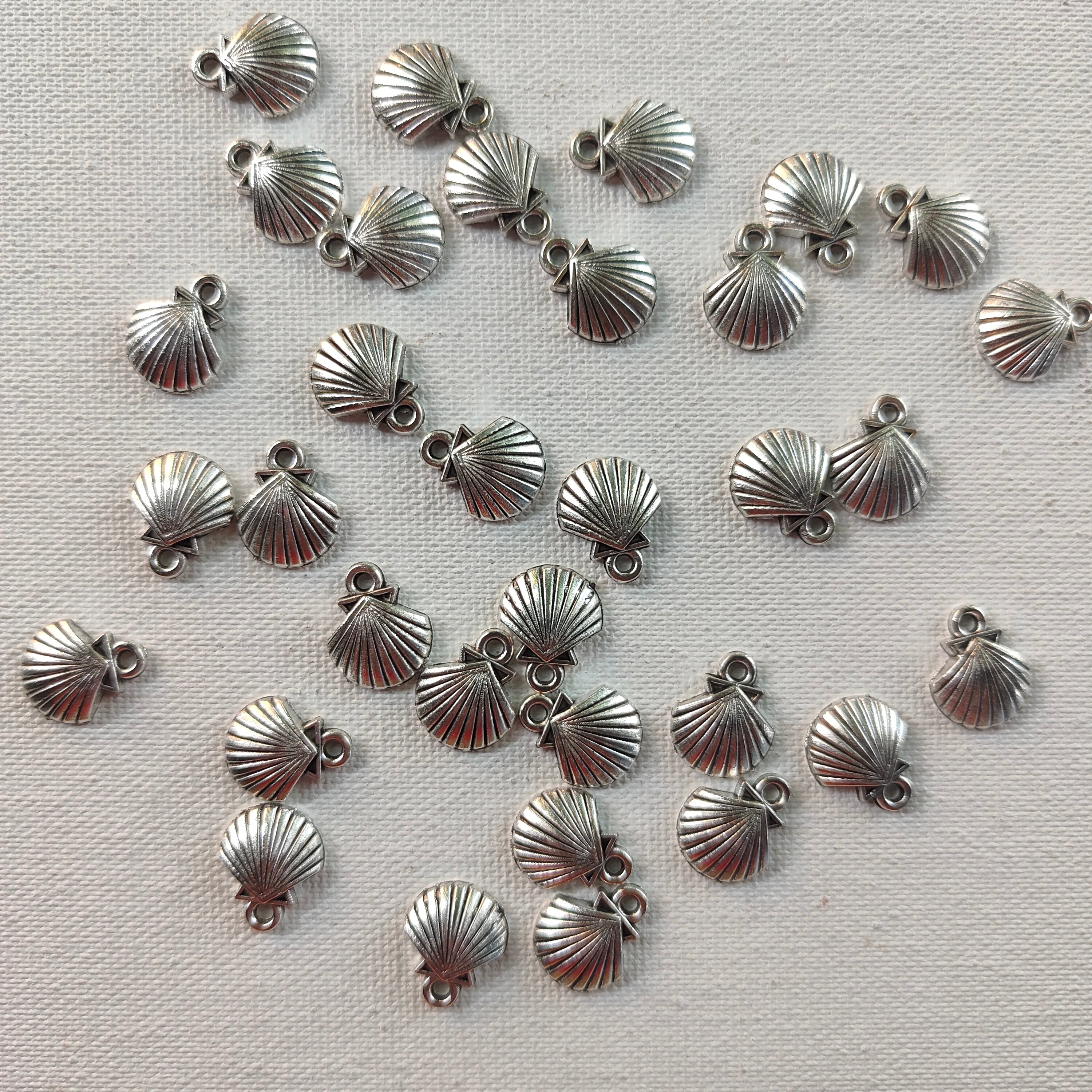 Silver shell per piece