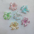 Spring flower pack of 5